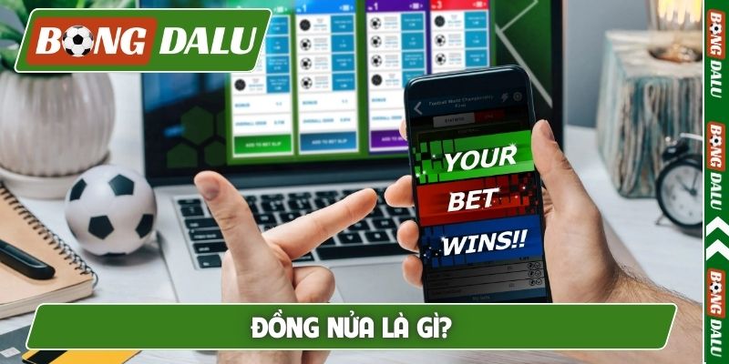 đồng nửa là gì