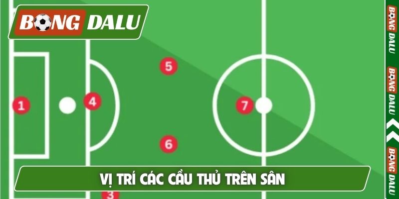 Vị trí các cầu thủ trên sân